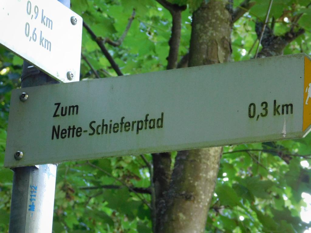 Ferienwohnung Schmitz Welling Εξωτερικό φωτογραφία
